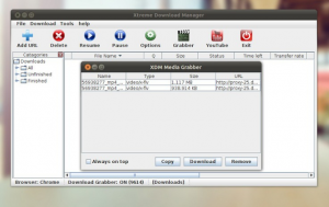 XTreme Download Manager